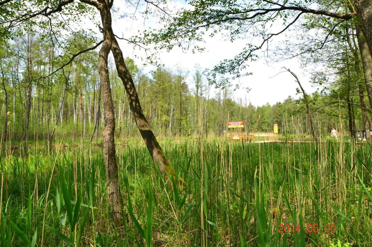Hotel Osrodek Wypoczynkowo-Turystyczny Perla Krutyni Nowy Most Exterior foto